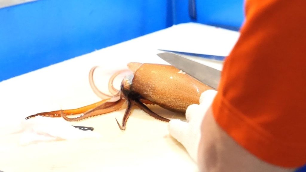 오징어야 집에 가자 | 산오징어 회뜨기 | 멍게랑 낙지는 서비스 | Squid Sashimi  | Korean Sea Food