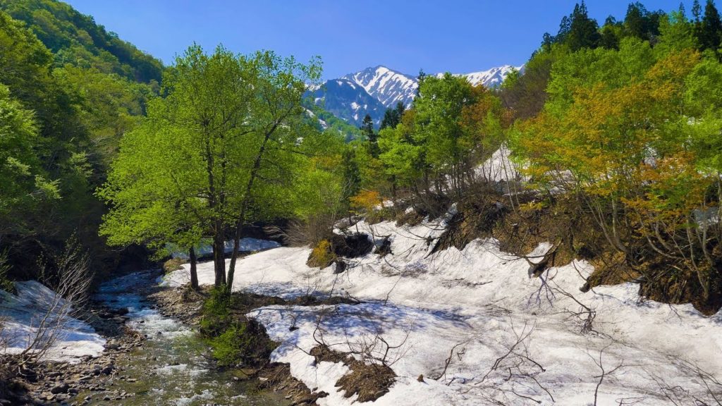 [ 4K ] 残雪と新緑の銀山平 Ginzandaira surrounded by Remaining Snow and Fresh Green (新潟県魚沼,Niigata Prefecture)