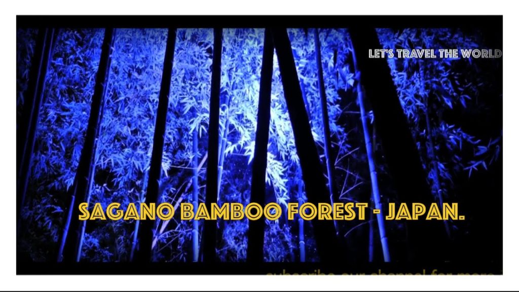 BAMBOO FOREST  (Kyoto Japan)