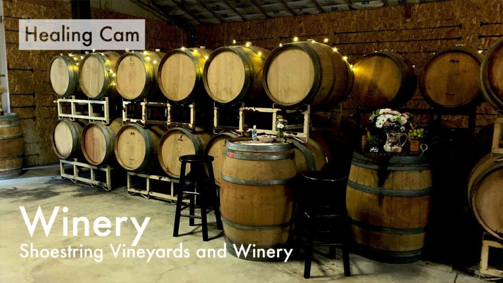Shoestring Vineyards and Winery