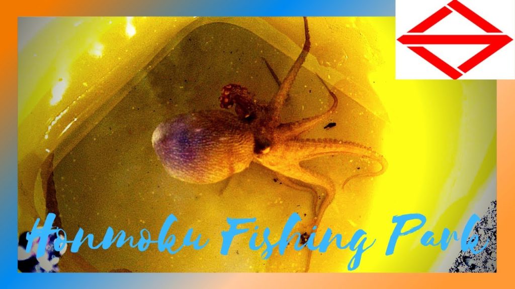 Honmoku Fishing Park #YokohamaTravelVlog in Japan 2020 🇯🇵