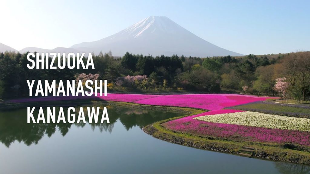 JAPAN 47 Prefectures | Shizuoka,Yamanashi,Kanagawa | JNTO