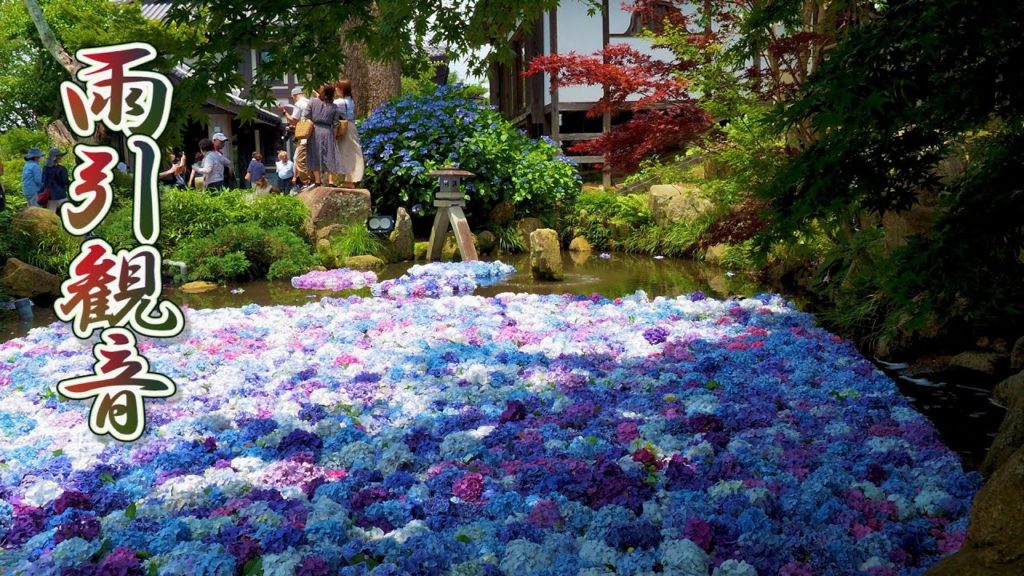 IBARAKI. Amabiki Kannon Temple 2020.#4K #雨引観音