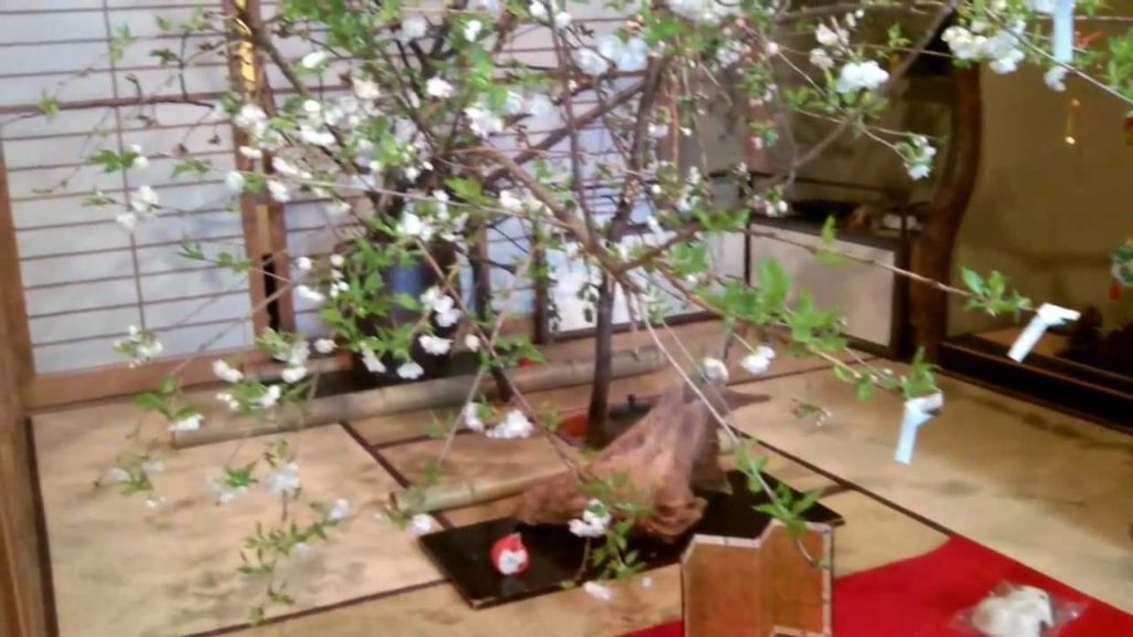 Isezakicho Sweet Shop Yokohama Japan.mp4