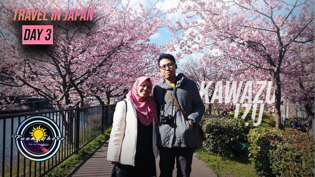 Day 3 Travel In Japan- Early Blooming Sakura of Kawazu (Kawazu Izu) FUNNYWHERE TRAVEL #4