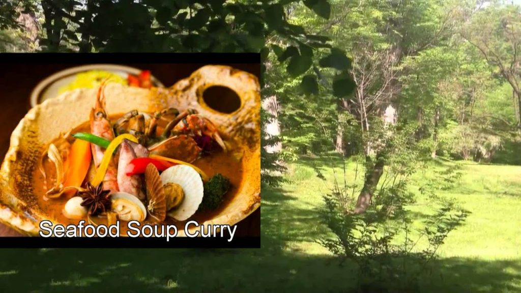 Japan Trip:Plants in the Forest,Garden and Greenhouse at the Hokkaido University,Hokkaido 27