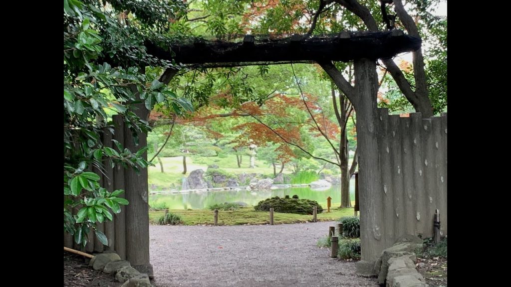A 1 Minute Tour Filled With Beautiful Sights: Kiyosumi Garden