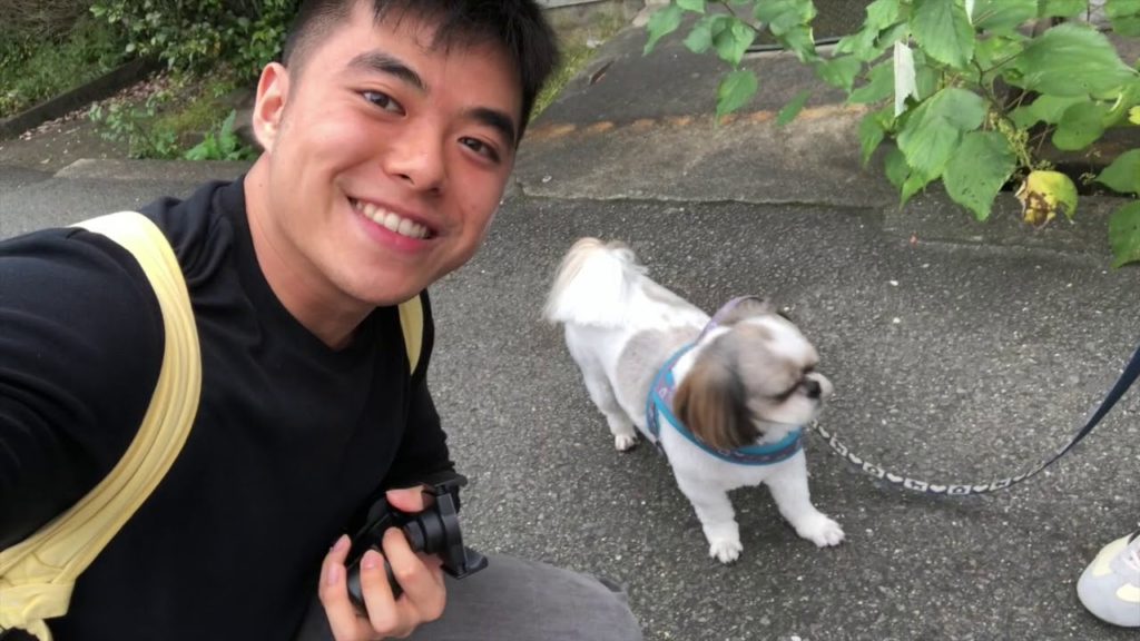 Kyoto and Osaka Travel Vlog 2019 | Featuring Plastic Love (Cover by Chia De Zhong)