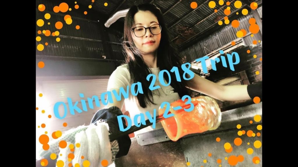 2018 Okinawa Trip Day 2-3
