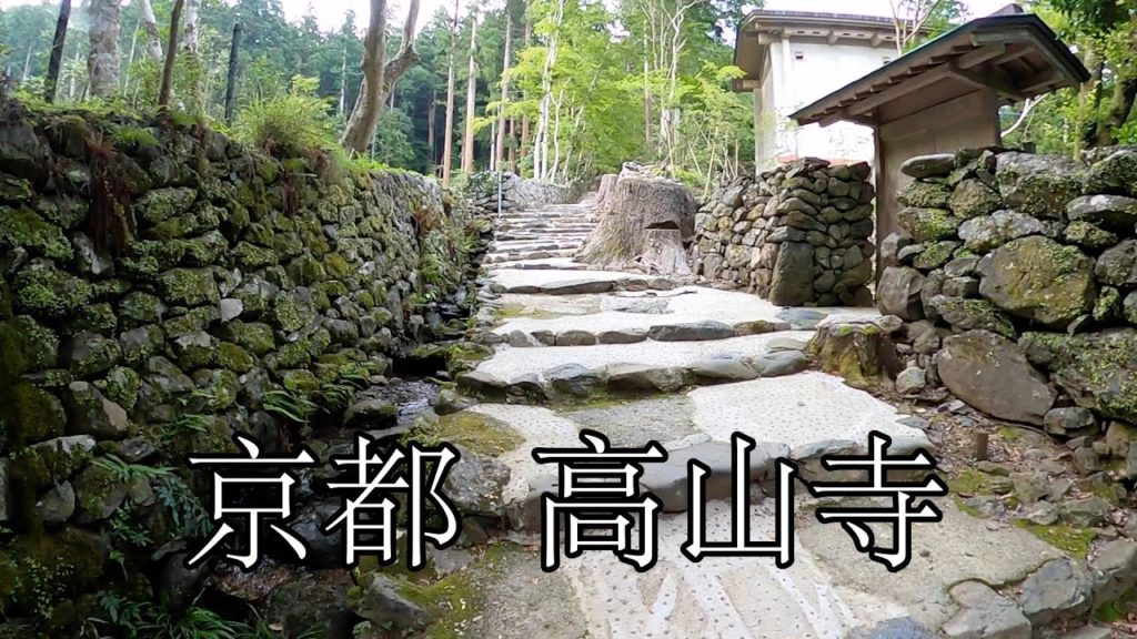 Walking tour in Kozanji Temple (高山寺), The oldest Tea Plantation in Japan.
