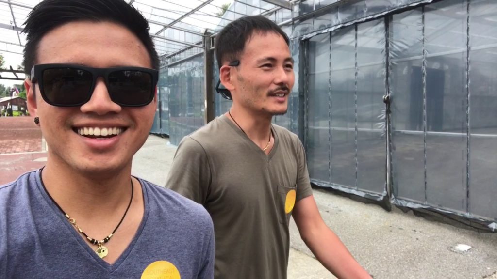 Southeast Botanical Garden Okinawa