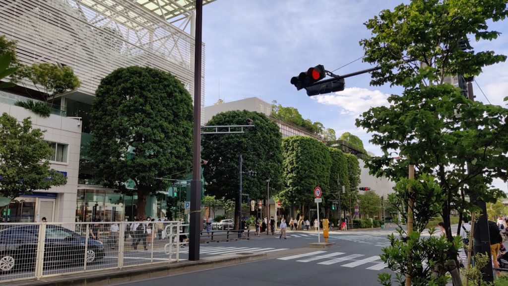 🔴Tokyo Live Walk - Todoroki Ravine