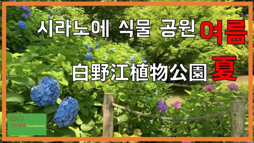 2020・4K【시라노에 식물 공원 여름・白野江植物公園の夏】많은 수국이 피어 여름을 느낄 수 있는 곳   紫陽花が咲き乱れる夏を感じる場所【기타큐슈・北九州】