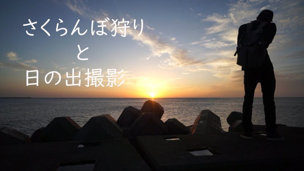 Aomori Vlog【森の中の果樹園】さくらんぼ狩りと日の出撮影【弘前】【下北半島白糠】【VLOG】