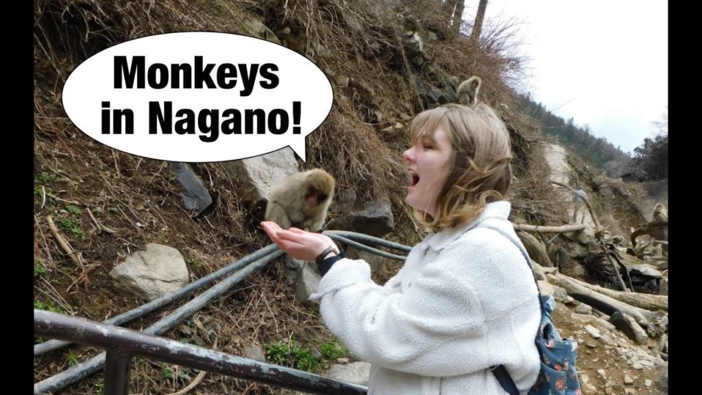 Monkeying Around Nagano!
