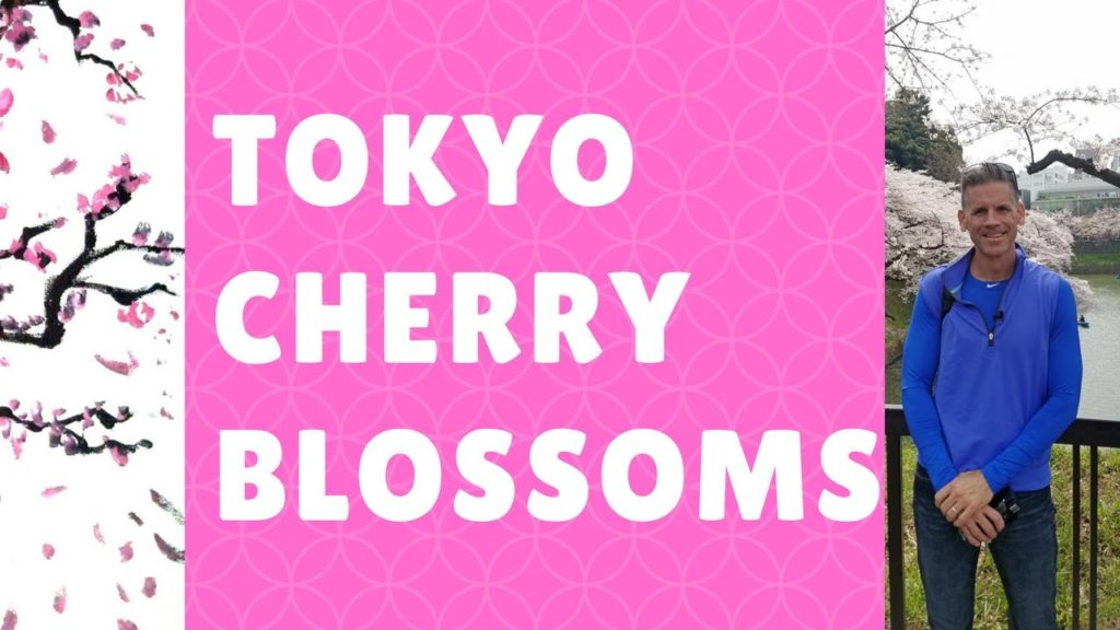 Tokyo Cherry Blossoms Tokyo Cherry Blossoms