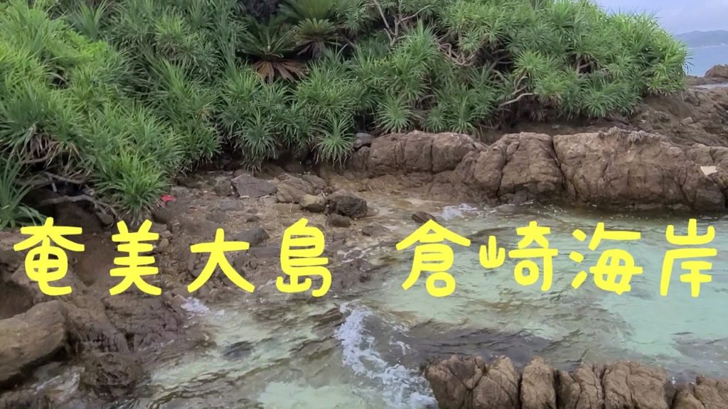 今日の奄美大島は曇り模様でしたin倉崎海岸