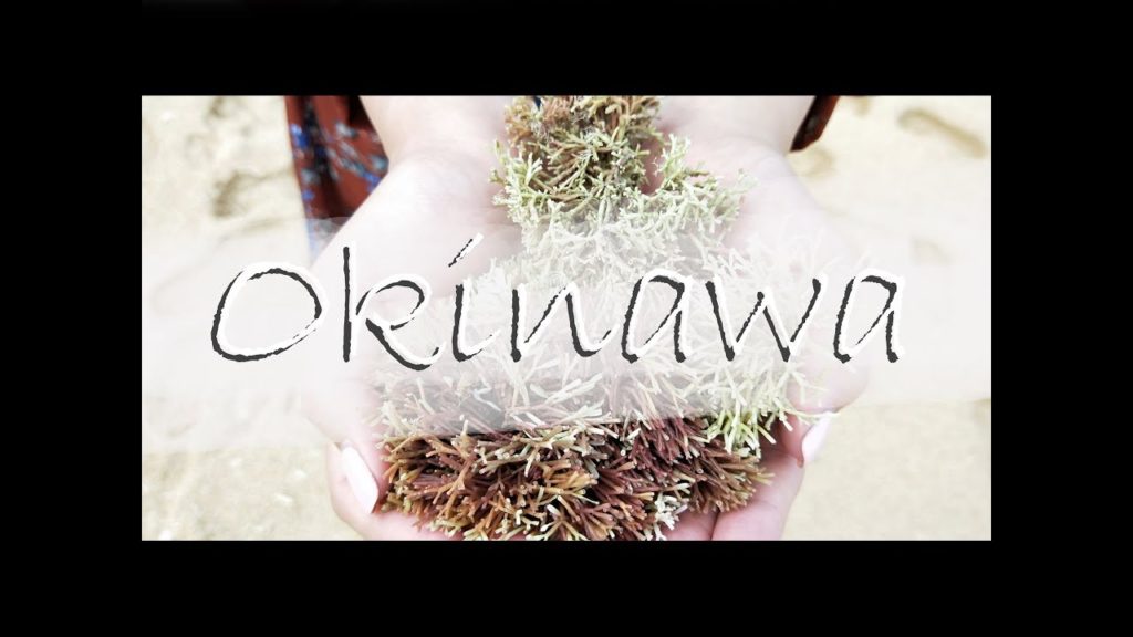 Fanny & Wayne - Okinawa Wedding Photography Trip 沖繩婚紗旅遊