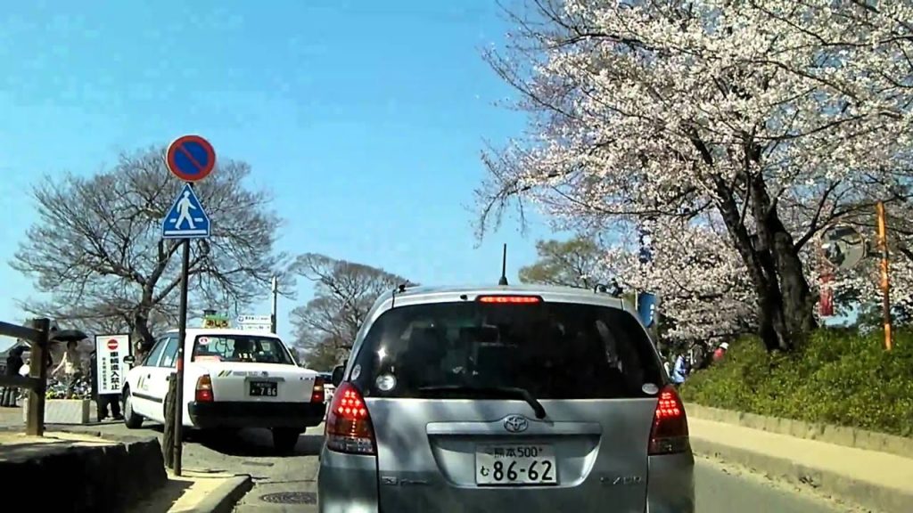 Cherry blossoms of the slope leading to the Kumamoto Castle（April 1, 2011）