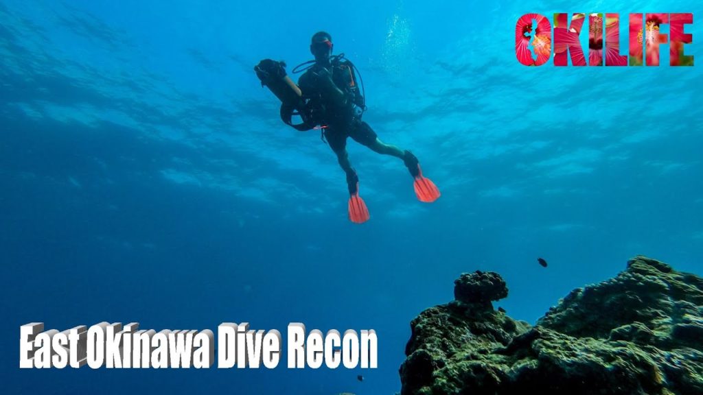 Diving on Okinawa’s East Coast