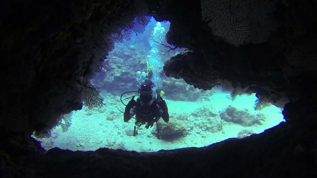 Okinawa Dive Trip [April 29th - May 3rd, 2015]