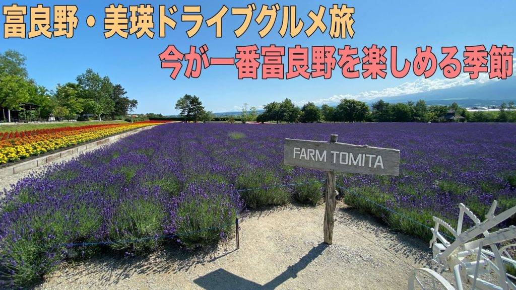 夏の富良野と美瑛ドライブグルメ旅！きれいなラベンダーと青い池