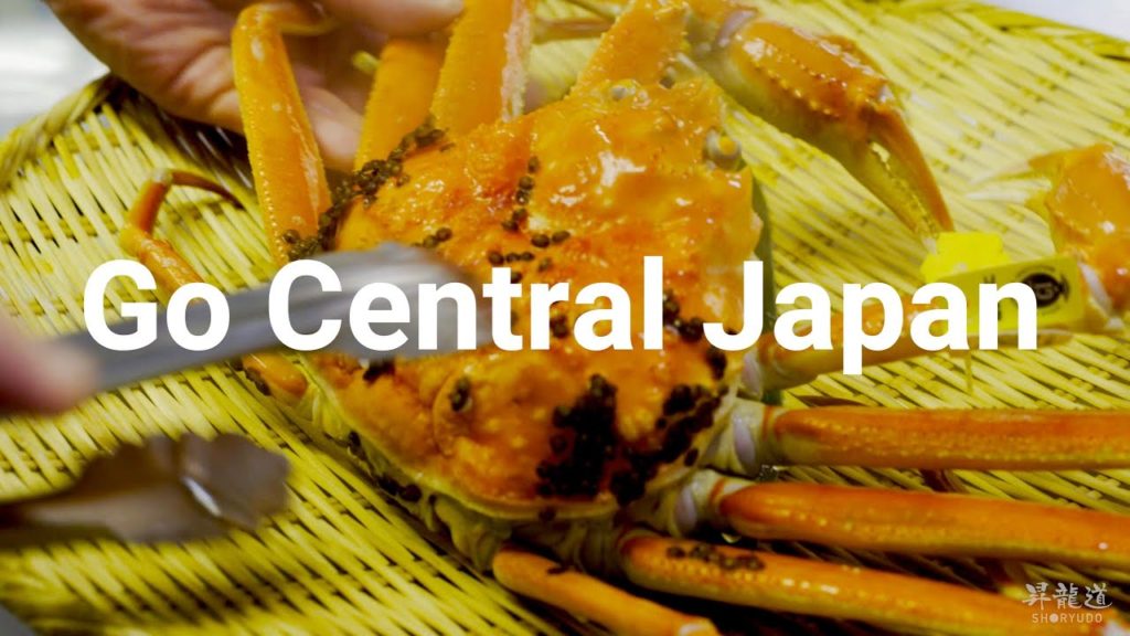 [ver.C] Go Central Japan in 8K HDR Hyperlapse - 昇龍道