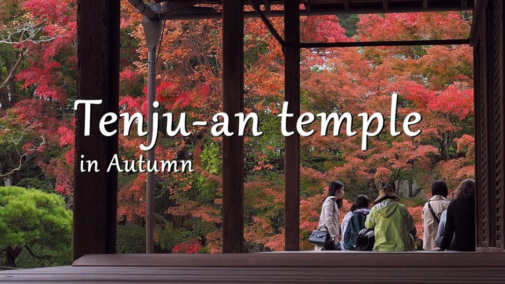 Tenju-an temple/The best autumn leaves spot in Kyoto Japan