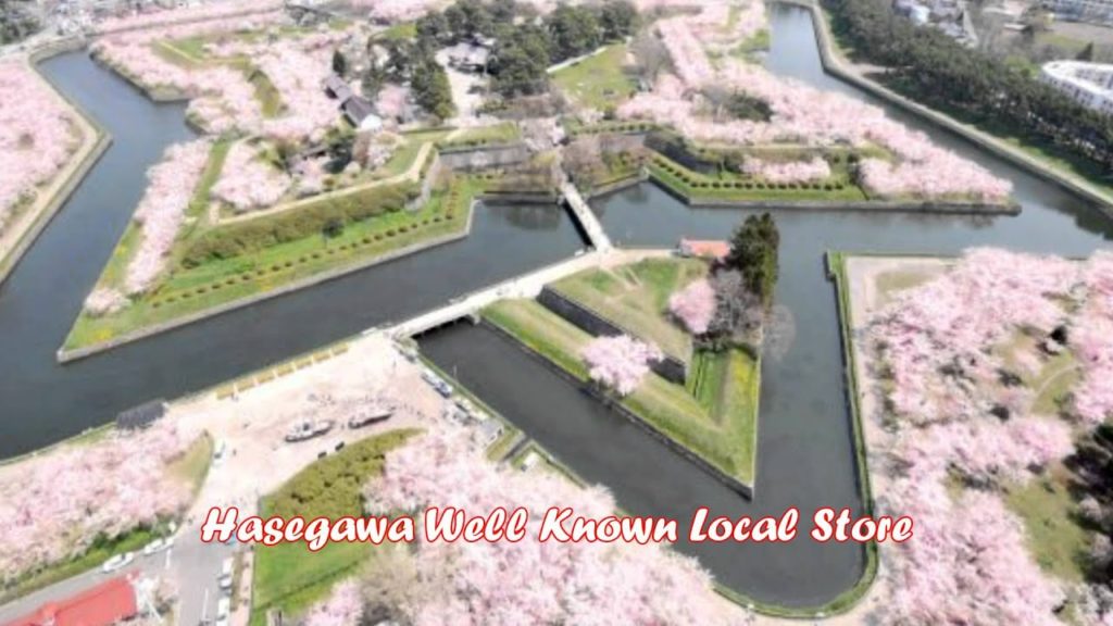 Travel Jepang: Dermaga Goryokaku benteng berbentuk bintang, mekarnya sakura, Hakodate, Hokkaido 52 Travel Jepang: Dermaga Goryokaku benteng berbentuk bintang, mekarnya sakura, Hakodate, Hokkaido 52