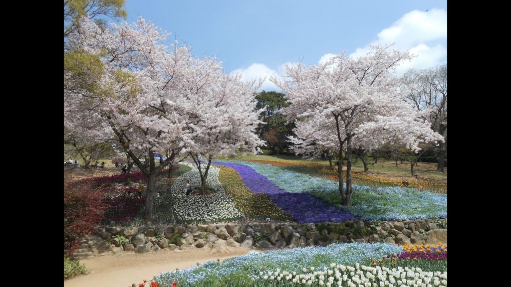 Chugoku Trip Part2/3: Shimonoseki (Akama Shrine, Kanmon Bridge, Hinoyama)