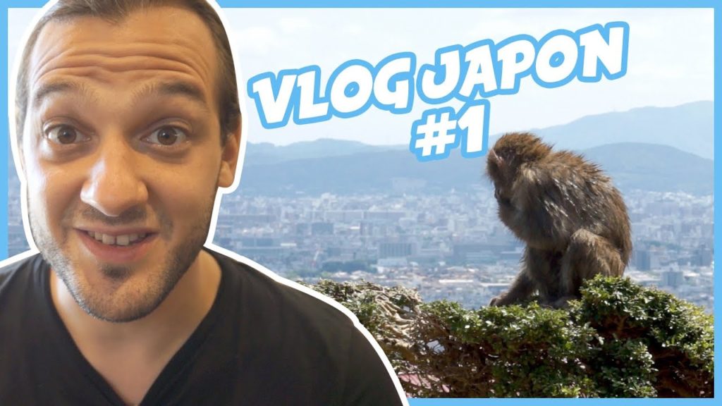 DES SINGES EN LIBERTÉ À KYOTO - (Japan Vlog #1 : Tokyo et Kyoto )
