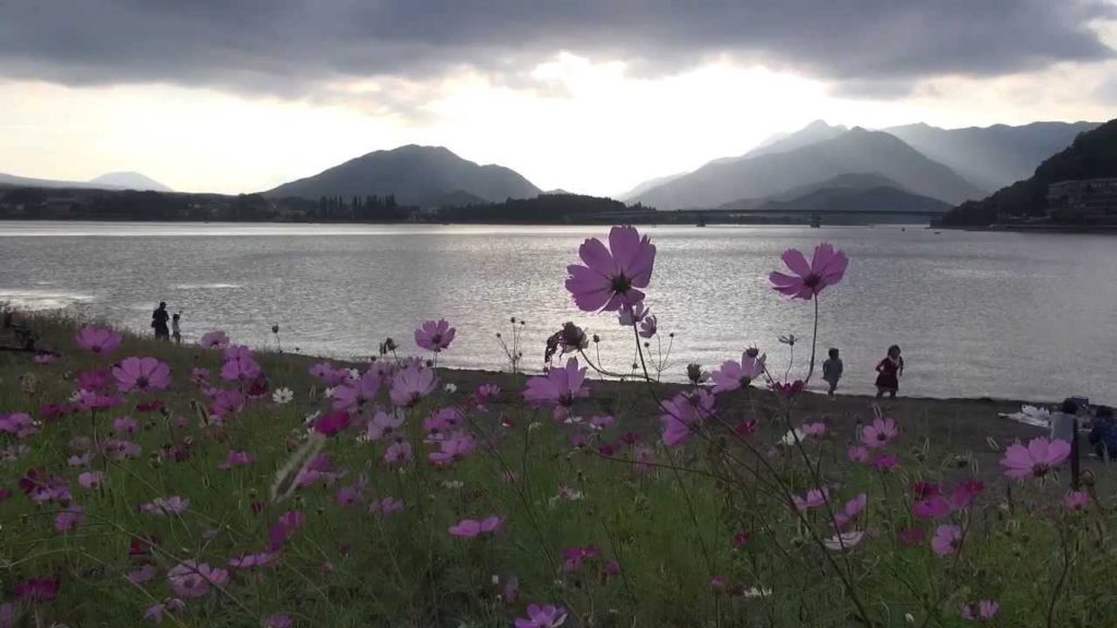 Trip to Lake Kawaguchiko near Mt.Fuji pt.II