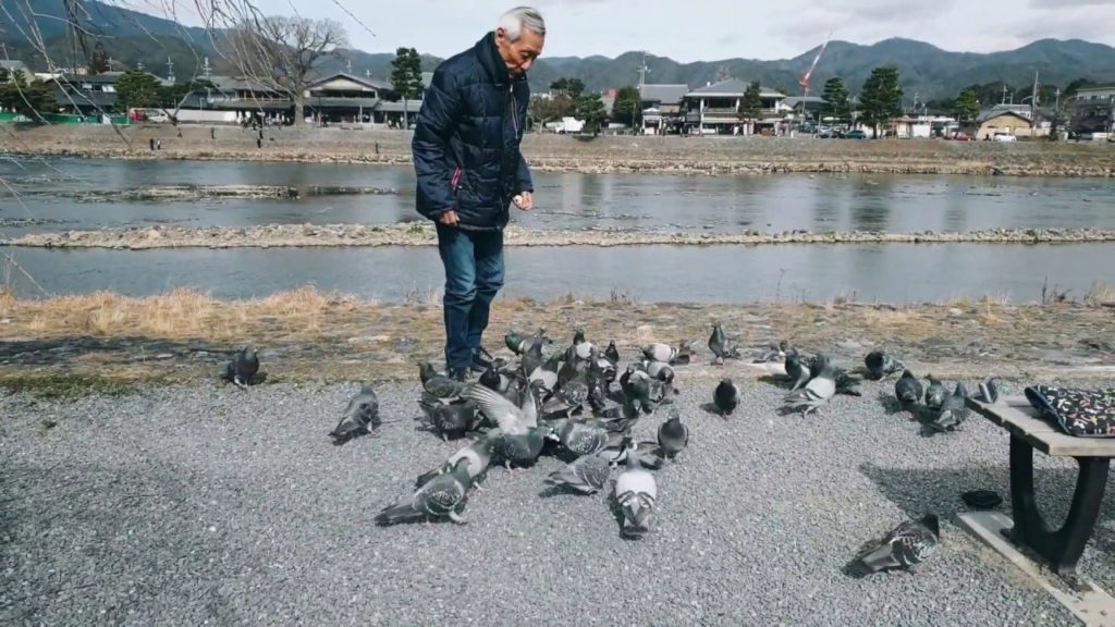 Half Day in Arashiyama, Kyoto, Japan - Hozu River, Kimono and Bamboo Forest (Mobile Videography)