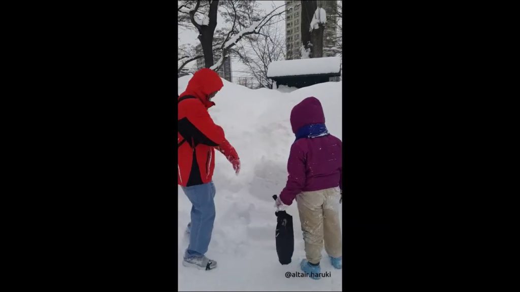 Altair and Asytar go to Sapporo