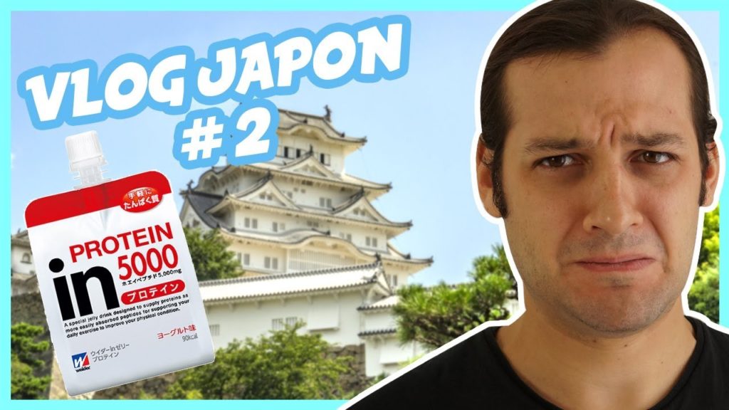 JE GOÛTE DE LA VIANDE EN GELÉE (Japan Vlog #2 - Osaka, Nara, Himeji )