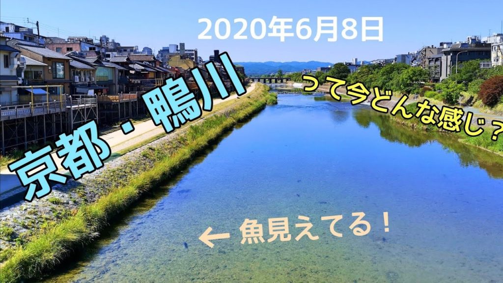 【京都観光】京都・鴨川の現在の様子　Kyoto,Kamogawa,river