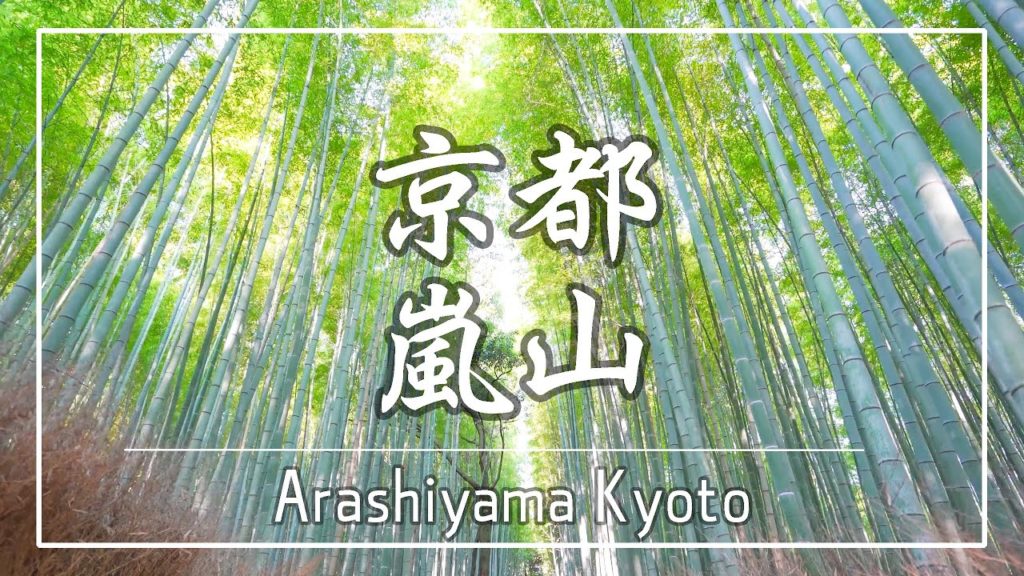 [4K] 京都観光 嵐山 新緑の竹林 |  Bamboo forest Arashiyama,Kyoto,Japan 【α7RIV】