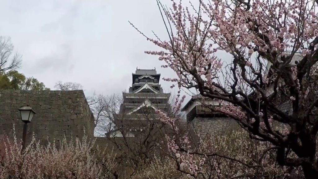 熊本城（Kumamoto Castle）