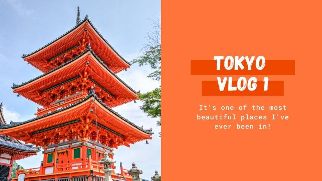 JAPAN TRAVEL VLOG 2019 : TOKYO !!! Ft Kaartik & Nitish ( Sensoji Temple, Mt Fuji, Ameyoko, Shibuya )