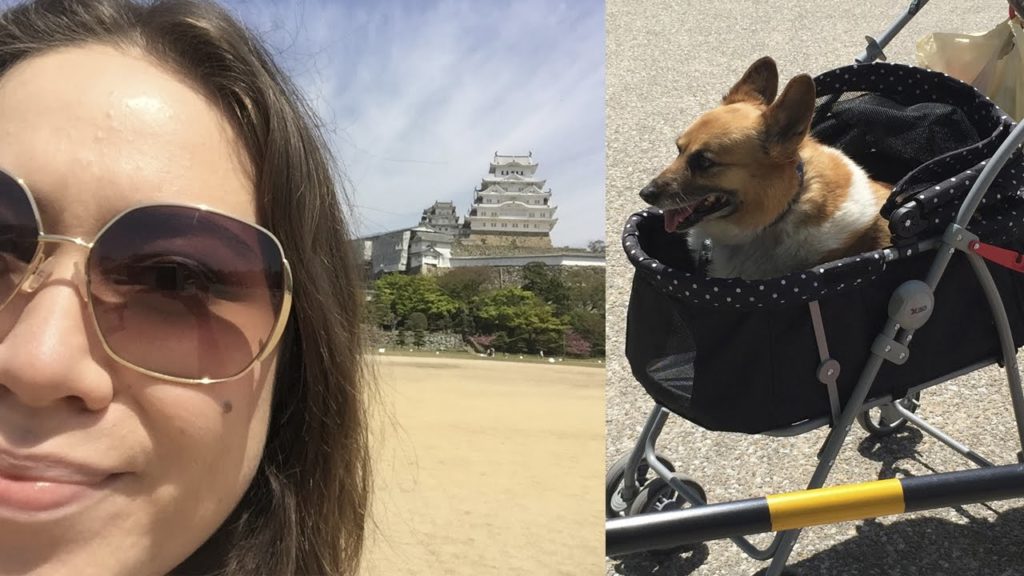 Himeji Castle! & DOGS! | Japan Vlog 08