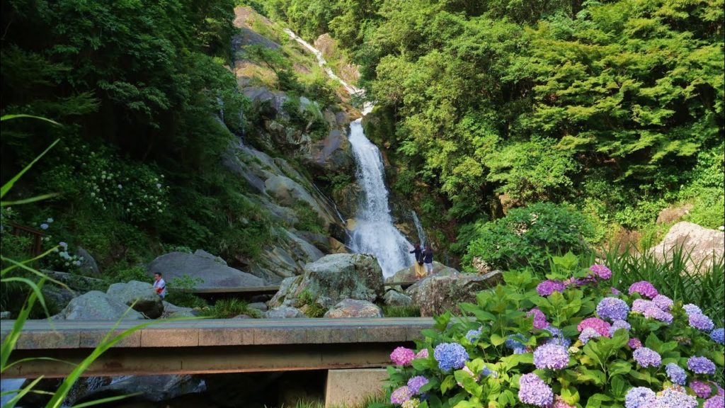 JG☆☆☆8K HDR Saga,Mikaeri no Taki (Fall100) 佐賀 見返りの滝(滝百選)