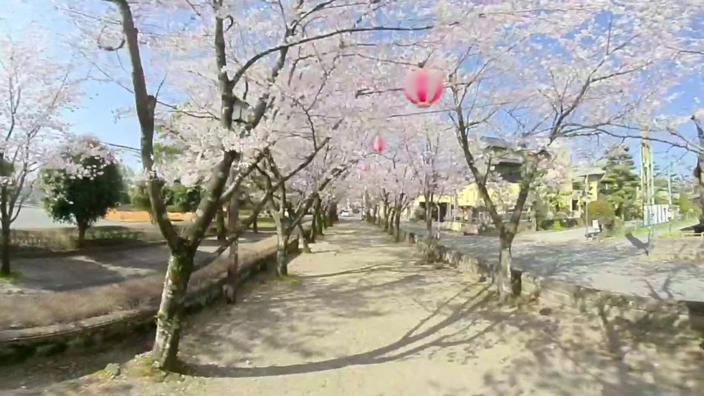 [360 Video] Kikuchi Shrine（菊池神社）｜ Kumamoto VR Walker