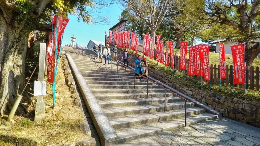 Wild Sika Deer of Nara Park, Nara, Japan GoPro 1080p