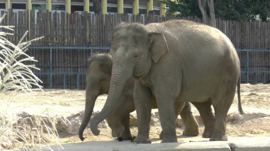 Budapest Zoo & Botanical Garden