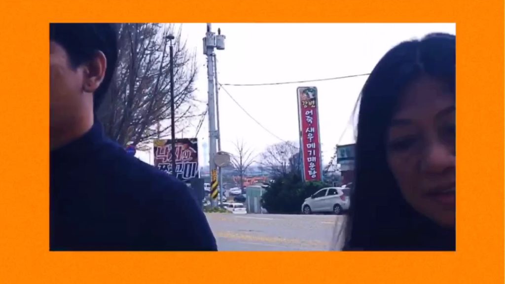 ASAN Gingko Tree Road /CAFE 1973/  + Hanchu Fried Chicken in GANGNAM + Streets of Dongdaemun