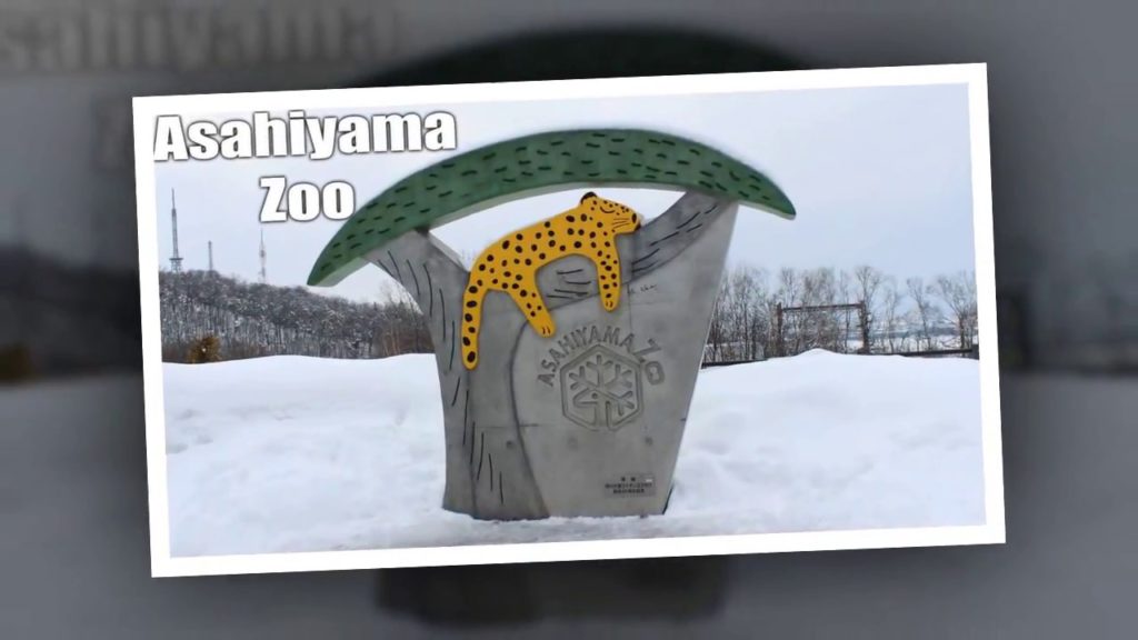 Best Travel, Best Destinations, Asahiyama Zoo, Japan