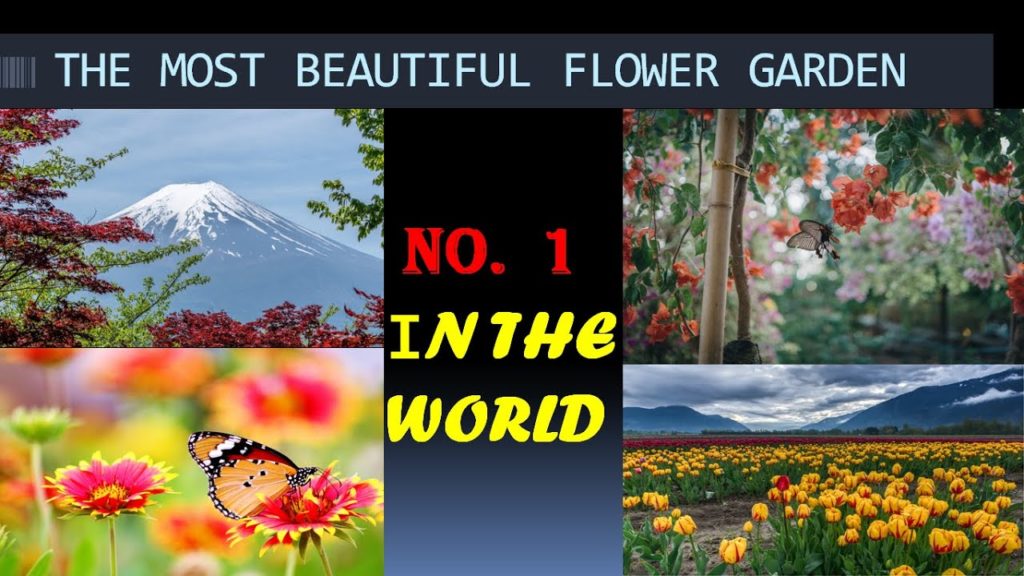 THE MOST BEAUTIFUL FLOWER GARDEN||AROUND THE WORLD JOURNEY