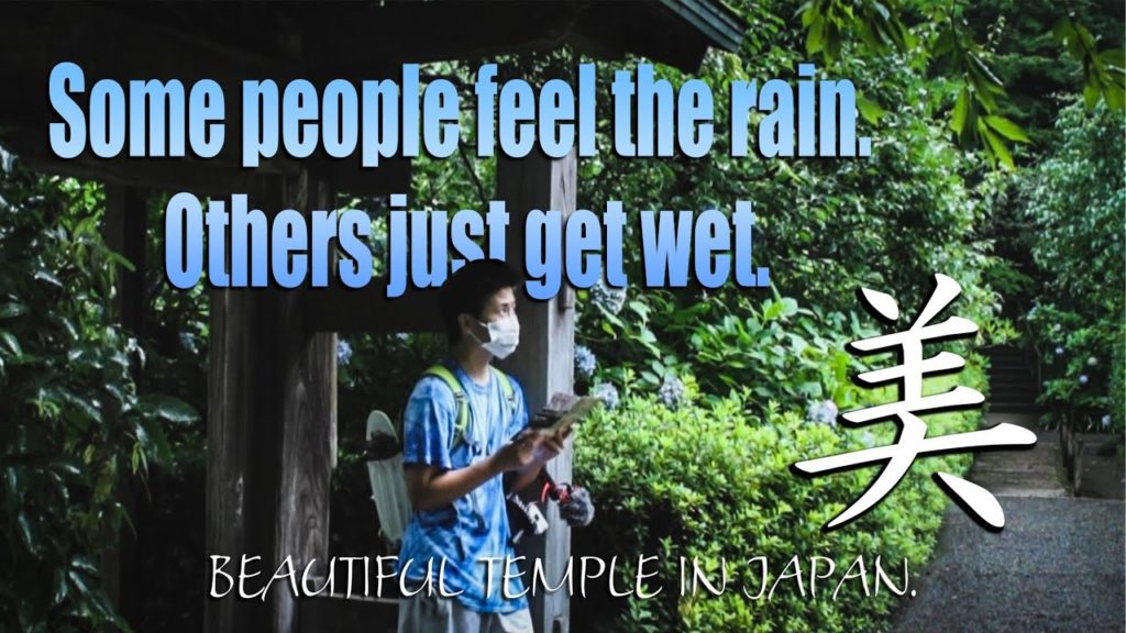 【Japan travel guide】The rain today was heavy☔️【Kamakura Meigetsuin】 【Japan travel guide】The rain today was heavy☔️【Kamakura Meigetsuin】