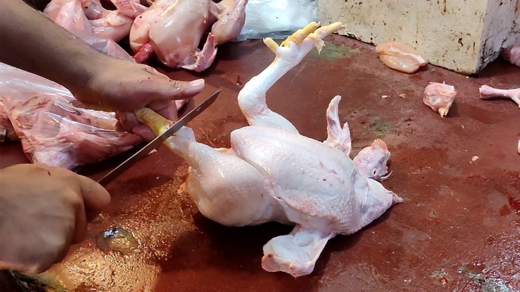 Amazing Live Chicken Cutting Skills In Chicken Market | How to Cut Up a Whole Chicken Fast