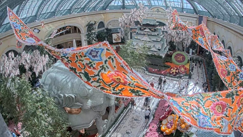 LIVE Las Vegas: Botanical Gardens at the Bellagio LIVE Las Vegas: Botanical Gardens at the Bellagio